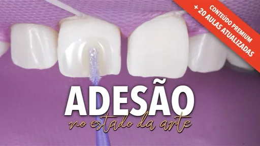Adesão no estado da arte